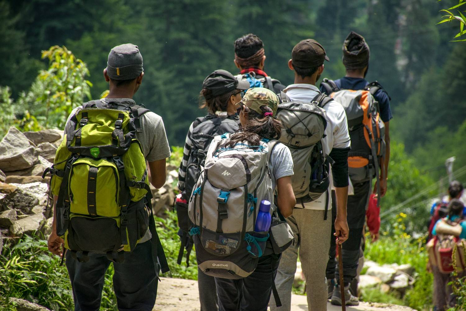 Hikers out walking in a forest with backpacks