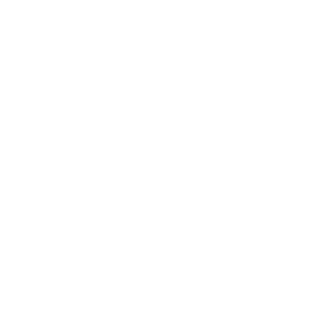 American Express icon
