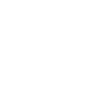 return icon