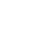 shipping icon