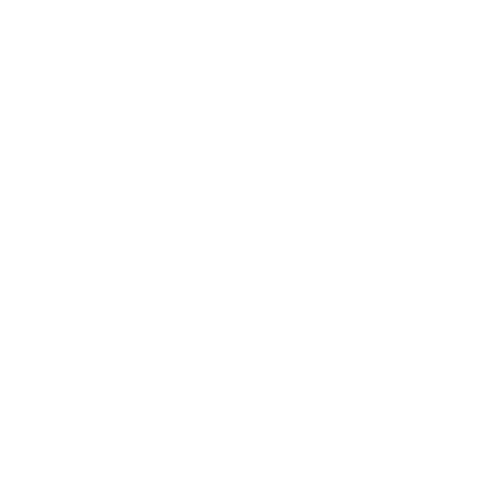 Twitter icon