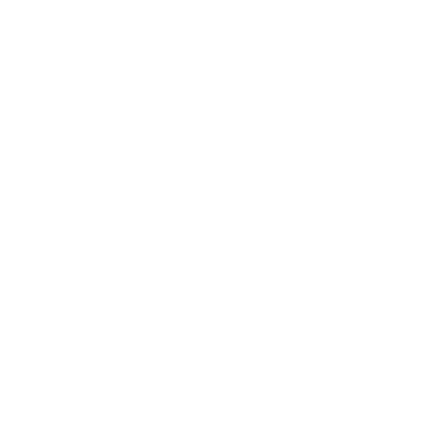 Mastercard icon