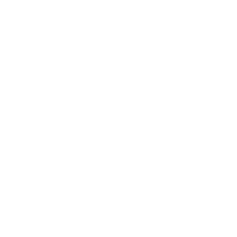 Paypal icon