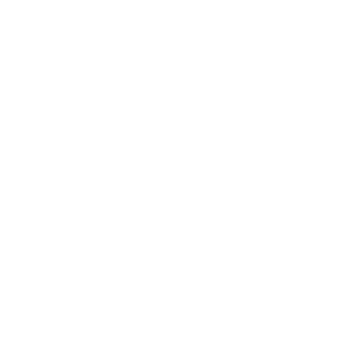 Visa icon